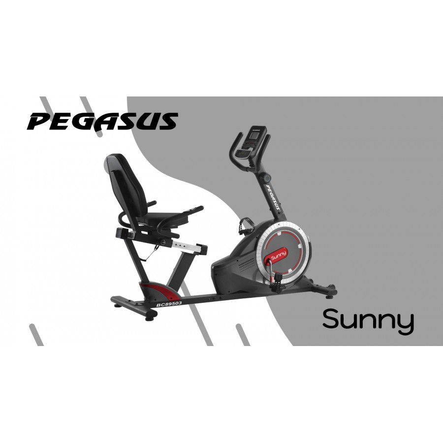 Καθιστό Ποδήλατο Γυμναστικής Pegasus® Sunny BC‑89503‑RD Π-104-RD -  buyeasy.gr