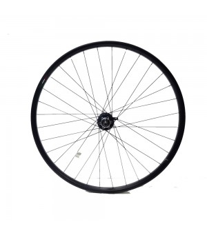Οπίσθιος Τροχός Ποδηλάτου Gipiemme Nisi T2-24L 29 Freewheel Disc